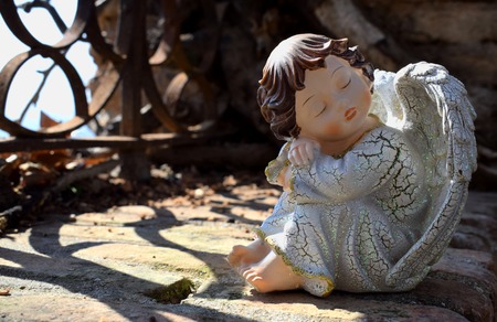 dreaming angelの写真素材