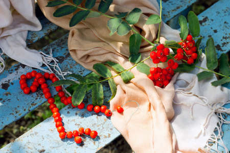 Warm scarf and a branch of a mountain ash on a blue bench in autumn gardenの写真素材