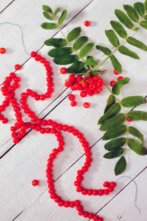 Rowan beads and a branch of a mountain ash on a white wooden backgroundの写真素材