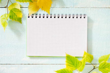 Autumn birch leaf and blue notepad on wooden backgroundの写真素材
