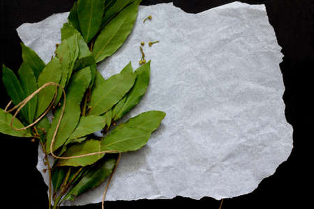 Bay leaves on a dark background, selective focus.の写真素材