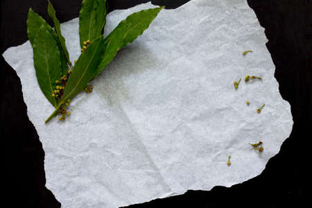 Bay leaves top view, space for text.の写真素材