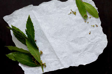 Bay leaves top view, space for text.の写真素材