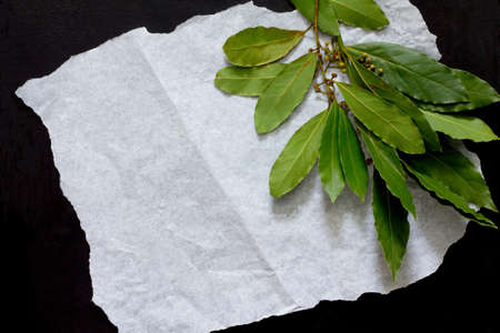 Bay leaves on a dark background, selective focus.の写真素材