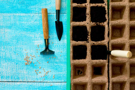 Preparation for planting seeds, garden tools on the table, top view.