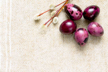 Easter composition with quail eggs and blooming willow, space for text.の写真素材