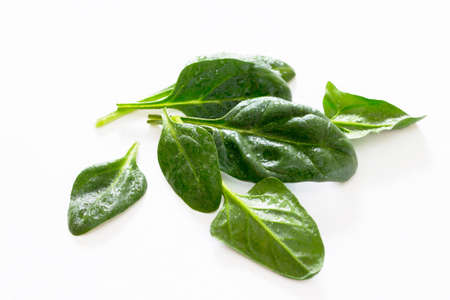 Spinach leaves on a white background, selective focus.の写真素材