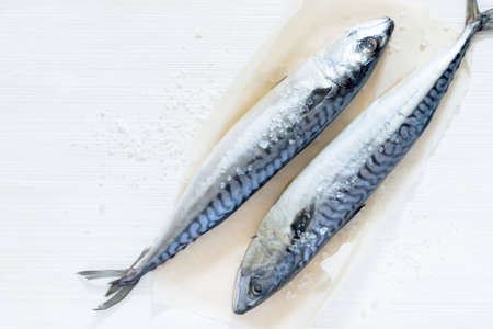 Fresh raw fish and sea salt on the paper, top view. The concept of healthy diet food.の写真素材