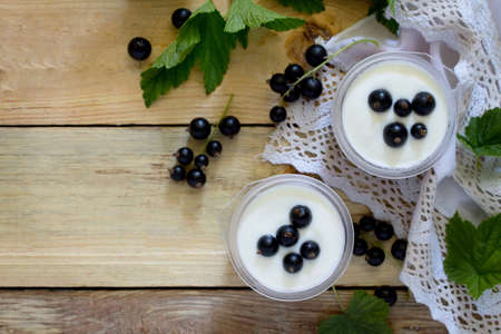 Homemade yoghurt with a black currant on the table in a rustic style, top view.の写真素材