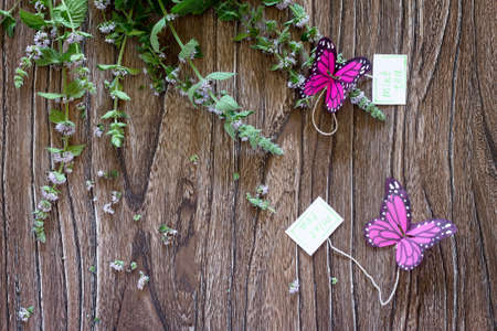 Background decoration paper butterflies in a glass of mint tea. Copy space. Children's art project, a craft for children.の写真素材