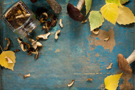 Collection of forest mushrooms boletus. Dried mushrooms and autumn leaves. Top view.