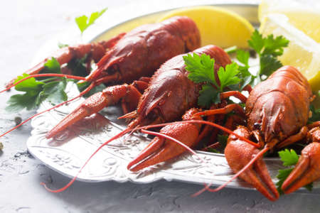 Boiled crayfish, lemon and parsley on a concrete background, selective focus. Food background. The...