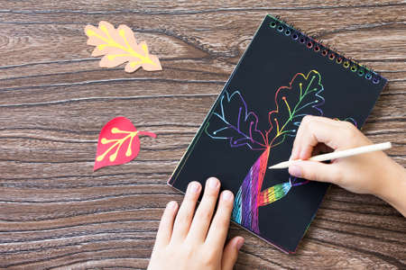 Autumn background. Children's creativity, drawing creation process. Colored different autumn leaves. Children's art project, craft for children. Craft for kids.の写真素材