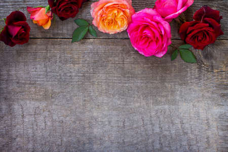 Colorful garden pink and red roses on a wooden background. Flat lay, top view with copy space.の写真素材