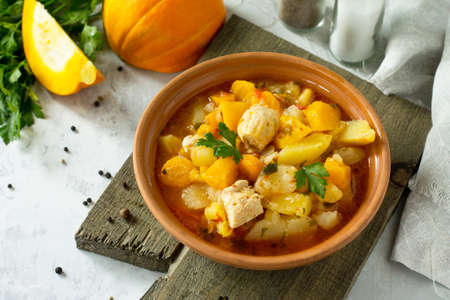 Turkey stew with pumpkin, vegetables and spices in a bowl on a stone background. Copy space.の写真素材