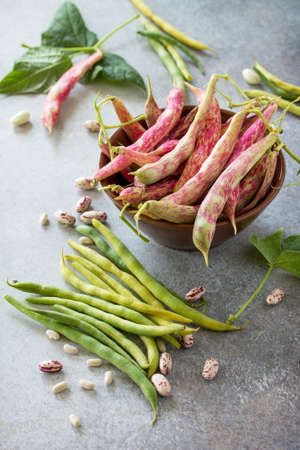 Assorted pod of beans and beans. Red and green beans on a gray slate or stone background.の写真素材