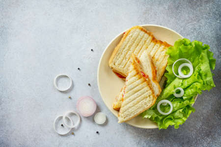 Double sandwich with canned tuna and feta cheese served with lettuce leaves on a background of gray stone. Top view with copy space.の写真素材