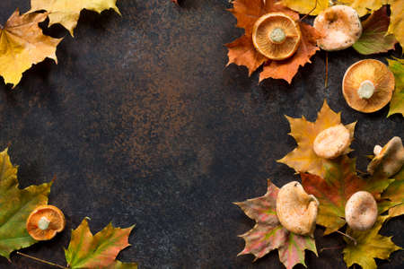 Autumn background with autumn maple branches with red and orange leaves and mushrooms on a rusty stone or slate background. Top view with copy space. Autumn motive.の写真素材