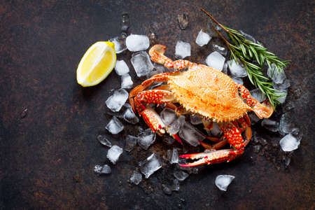 Cooked crab on a stone or slate background. Flat lay. Top view with copy space.の写真素材