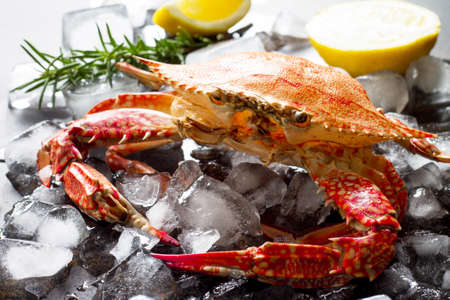 Cooked crab on a stone or slate background.の写真素材