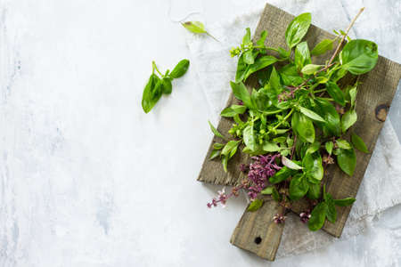 Mix the greens. Green and purple basil on a cutting board. Food background on a gray slate table. Top view copy space.の写真素材