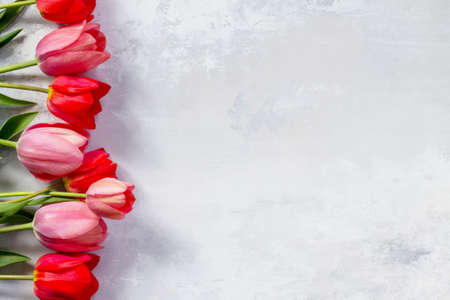 Red and pink tulips flower background. Top view with copy space.の写真素材