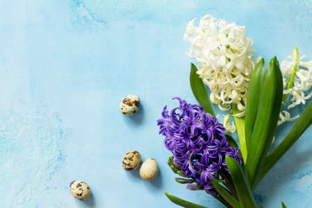 White and blue hyacinth floral, spring flowers background. Top view flat lay background. Easter concept.の写真素材