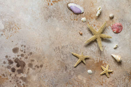 Seashells on stone background or slate with copy space. Sea summer vacation background. Top view flat lay background. の写真素材