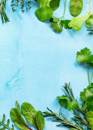 Food background. Various summer green vegetables, spices and fresh herbs on blue concrete...