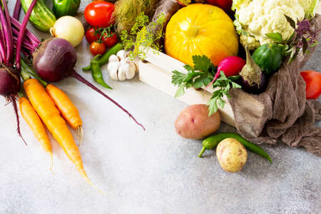 Fresh different vegetables on a gray stone or slate background. Food background. The concept of healthy eating. Copy space.の写真素材