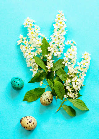 Spring flowers, Easter eggs on a blue background. Minimal easter concept. Flat lay, top view...