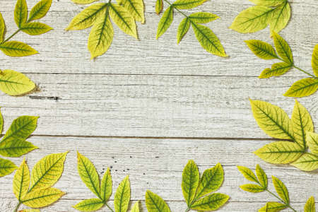 Back to school. Flatlay background. Table with autumn leaves. Free space for your text.