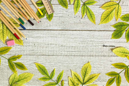 Back to school. Flatlay background. Table with autumn leaves and colored pencils. Free space for your text.の写真素材