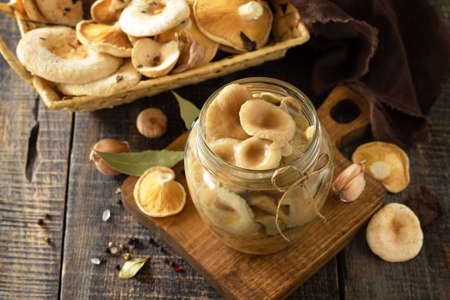 Mushroom preservation. Home preservation of products: glass jars with pickled mushrooms with spices on a rustic wooden table. の写真素材