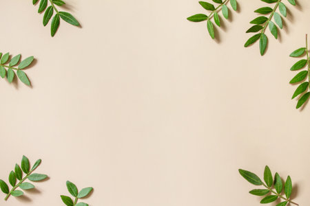 Green leaves on sail Champagne trend background. Frame for text of fresh leaves, minimalism style. Eco nature concept. Top view flat lay. Copy space.の写真素材