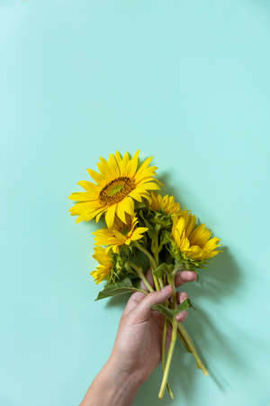 Autumn or summer floral concept, harvest time. Flower card. Women's hand hold yellow sunflowers bouquet on green background. Top view flat lay. Copy space.の写真素材