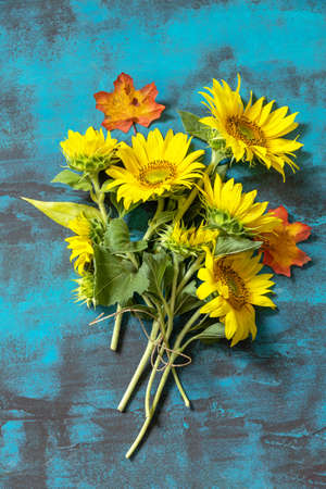 Creative festive autumn decor of sunflowers and leaves on a blue background. Autumn composition. Nature trendy decorative design. Flat lay.の写真素材