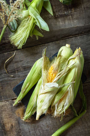 Healthy ripe corn on a wooden kitchen table. The concept of a organic menu and autumn harvesting...
