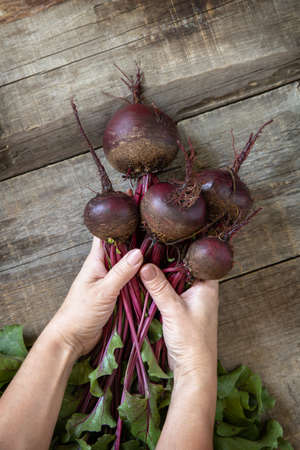 Female hands hold ripe juicy beetroot over a wooden kitchen table. The concept of organic nutrition and autumn harvesting vegetables. Top view flat lay background.の写真素材