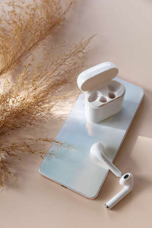 Wireless technology, modern tech. Minimal shot smartphone and of a pair of white wireless headphones, dried grass on a pastel neutral colors background.の写真素材