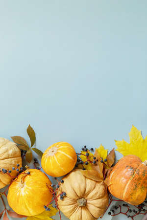 Creative minimal background. Fall, fall, thanksgiving concept. Autumn background pumpkins with autumn leaves on a blue paper background. Flat lay, top view.の写真素材