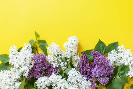 Spring mock up, flat lay. Lilac flowers on yellow background. Decorative border, copy space.の写真素材