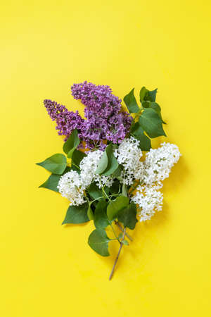 Lilac flowers on yellow background. Decorative border, copy space.の写真素材