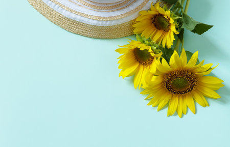 Straw hat and sunflowers on pastel green background. Summer holiday, vacation concept. Flat lay, top view.の写真素材