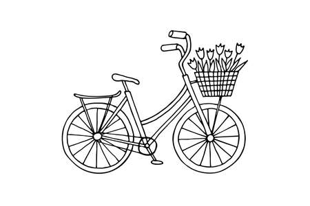 Hand-drawn bicycle with a basket of tulips. Doodle vector illustration isolated on white background. Design element for card, cover, sticker.のイラスト素材