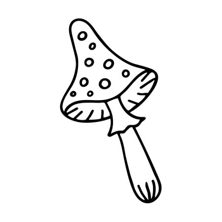Doodle of fly agaric isolated on white background. Vector hand drawn illustration of Amanita. Design element for Halloween party.のイラスト素材