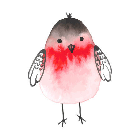 Watercolor cute cartoon bullfinch. Vector hand drawn illustration of winter bird isolated on white background.のイラスト素材
