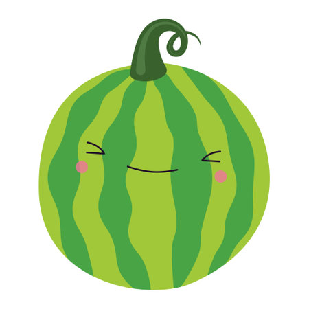 Cute watermelon in kawaii style.のイラスト素材