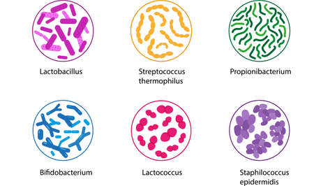 Good bacteria set isolated on white background. Microorganisms vector illustration.