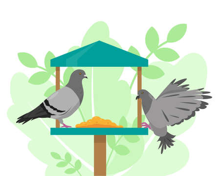 Doves on the bird feeder. Vector illustration.のイラスト素材